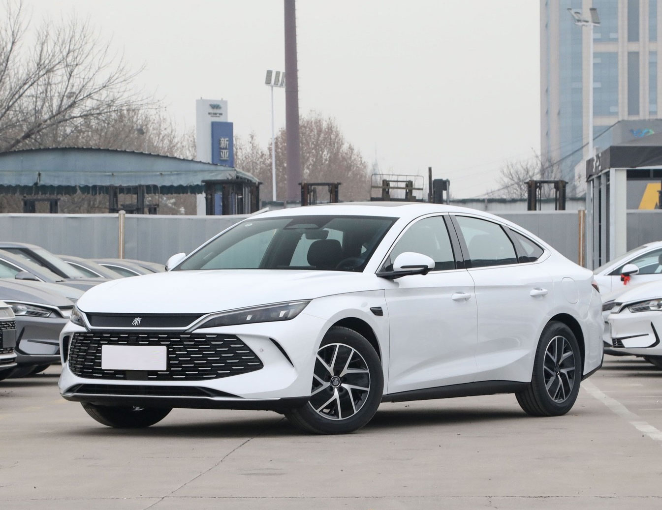 BYD Qin L DM-i 2025 Review The 2000km Range Revolution